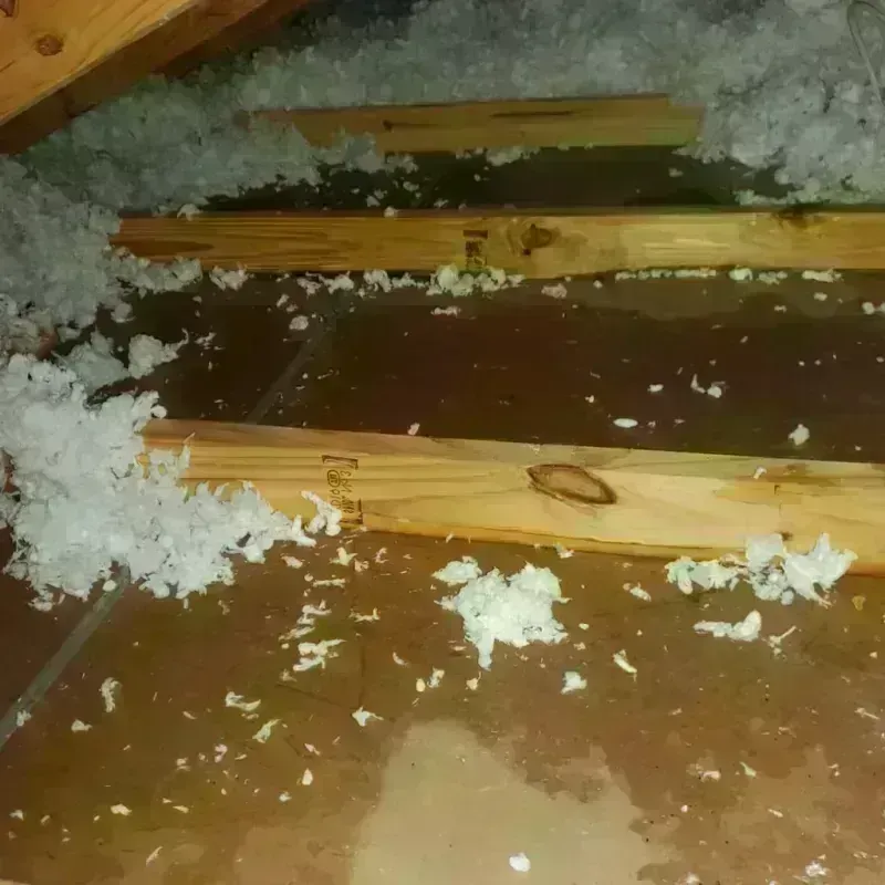 Attic Water Damage in Greenacres City, FL