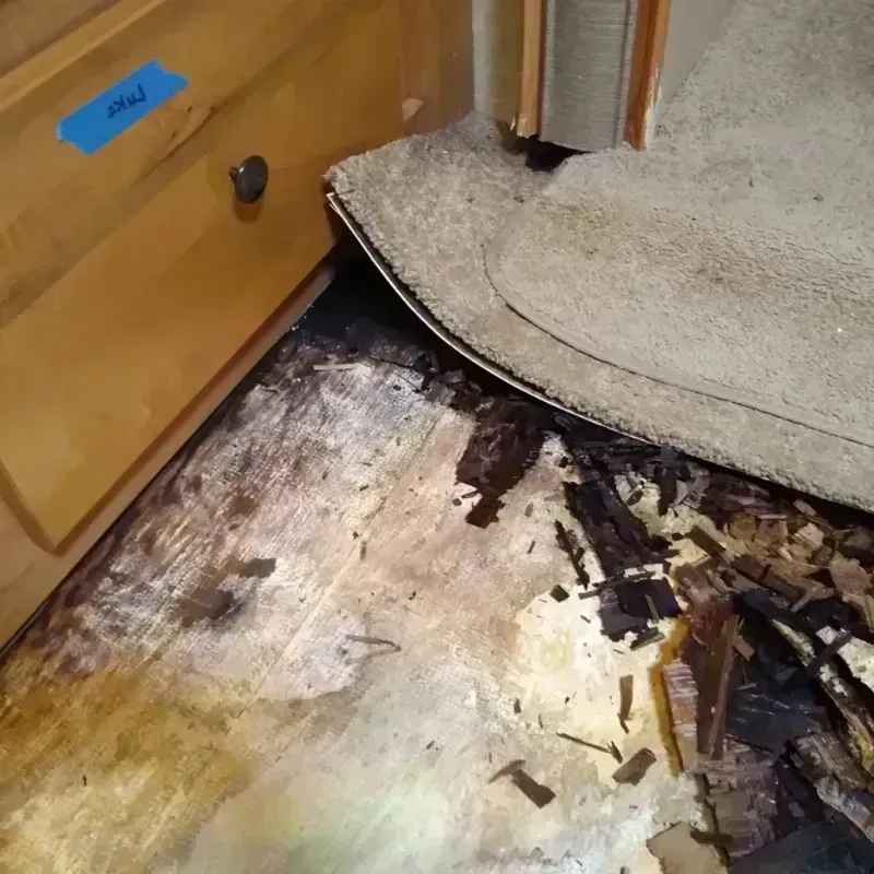 Wood Floor Water Damage in Greenacres City, FL